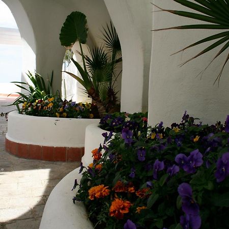 Casa Vacanze Elianto อันซีโอ ภายนอก รูปภาพ