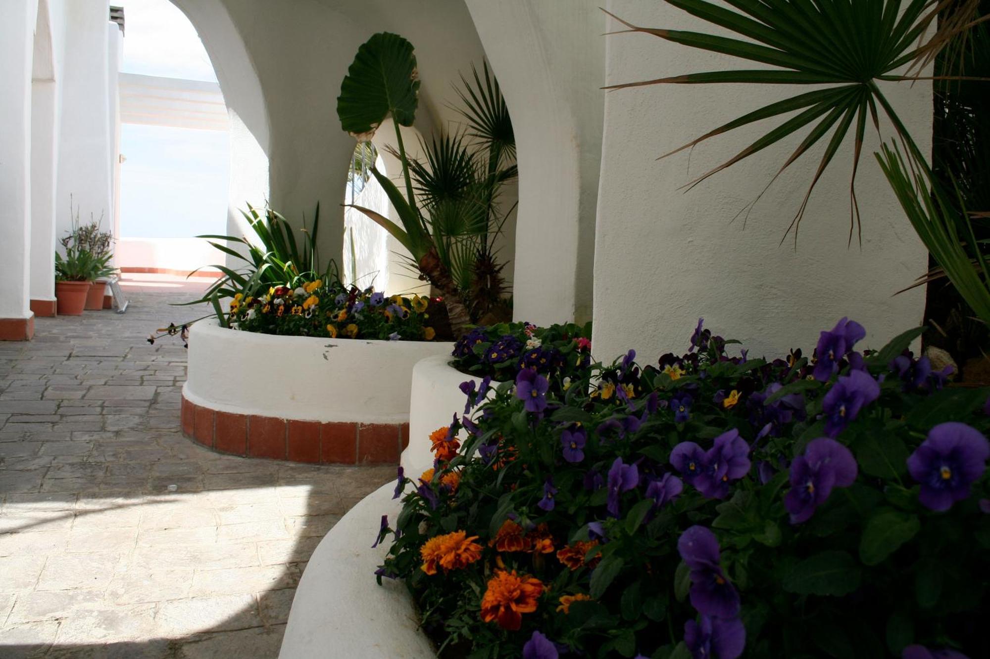 Casa Vacanze Elianto อันซีโอ ภายนอก รูปภาพ